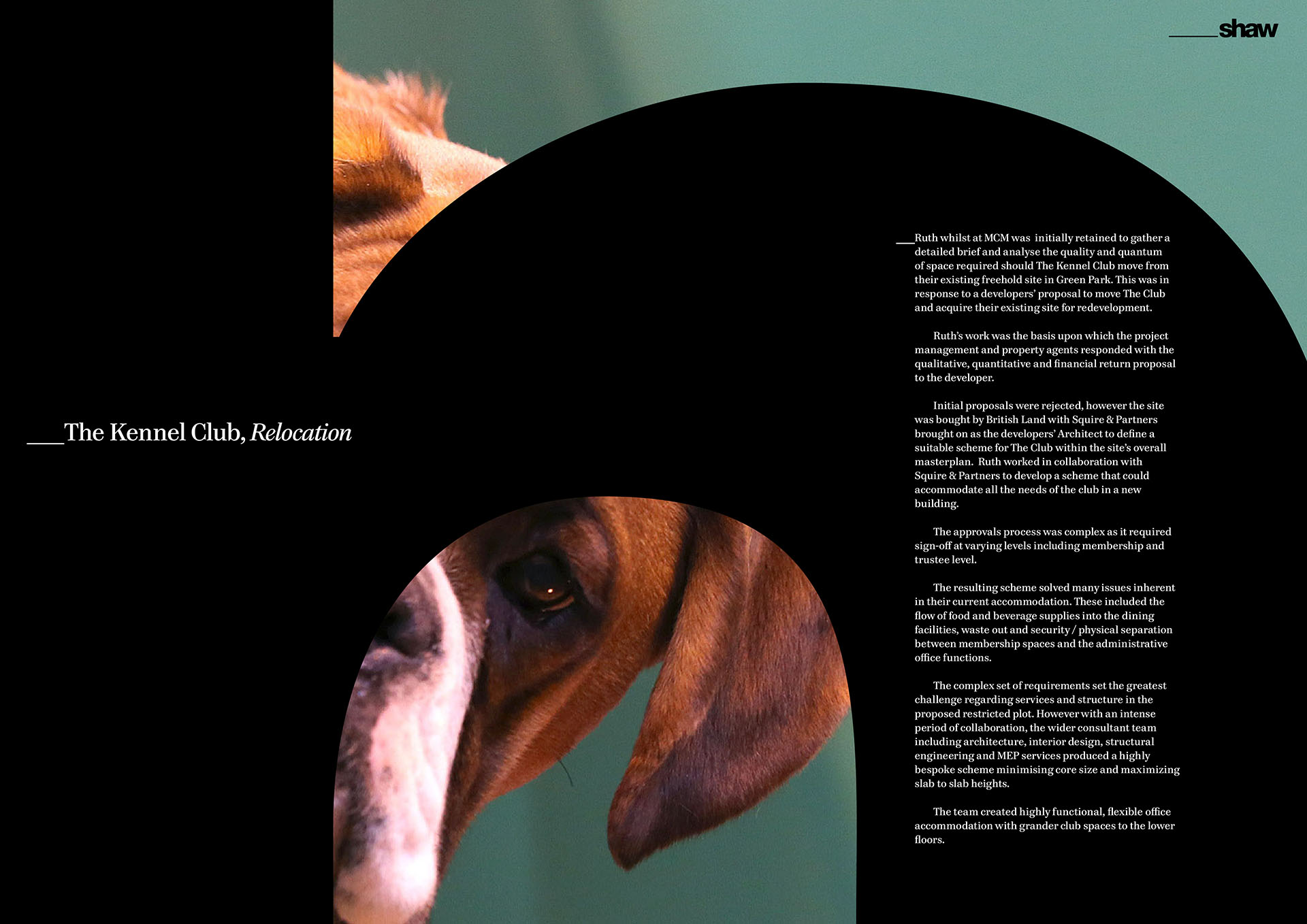 Profile, Kennel Club case study spread.